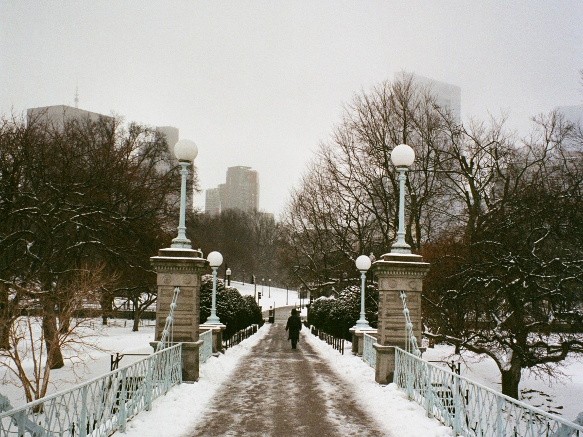 The city and&nbsp;snow