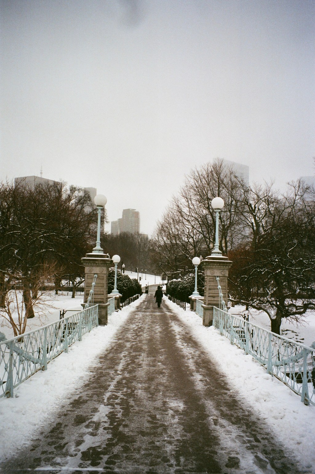 The city and&nbsp;snow